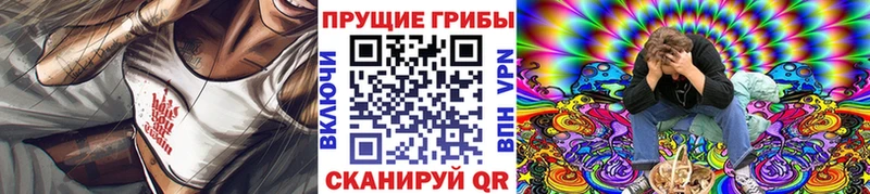Галлюциногенные грибы Psilocybe  Колпашево 